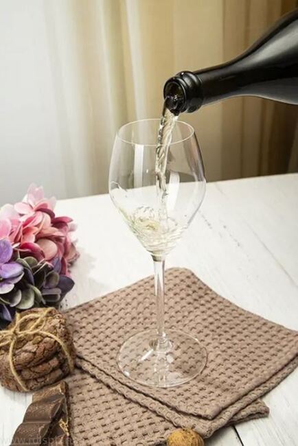 23 Купить Бокал для просекко и игристого вина ресторанной серии Riedel EXTREME Restaurant Prosecco Superiore  Ридель ЭКСТРИМ Ресторан Просекко 305 ml. 045485